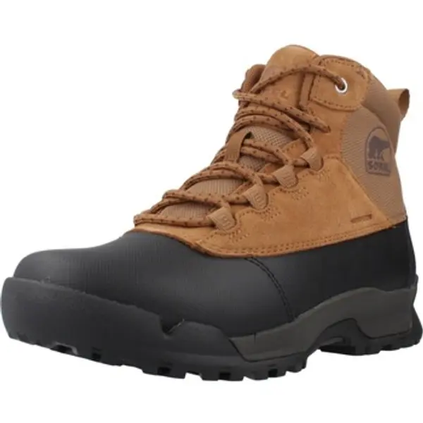 Sorel Sorel  Čizme Botines Hombre Modèle Buxton Lite Lace Plus  Sorel