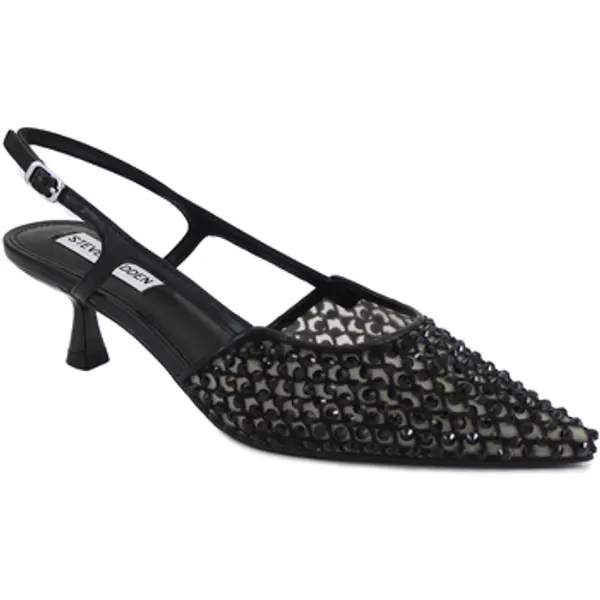 Steve Madden Steve Madden  Salonke STE-E25-LEGACI-BLK  Steve Madden