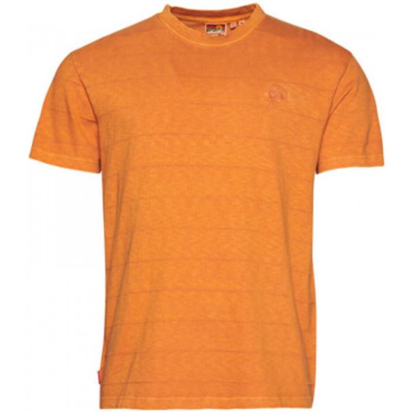 Superdry Superdry  Majice / Polo majice Vintage texture  Superdry