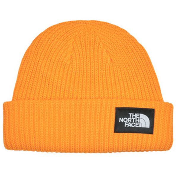 The North Face The North Face  Kape SALTY LINED BEANIE  The North Face