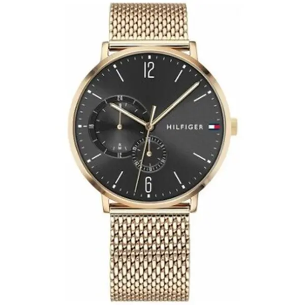 Tommy Hilfiger Tommy Hilfiger  Analogni satovi 1791506  Tommy Hilfiger