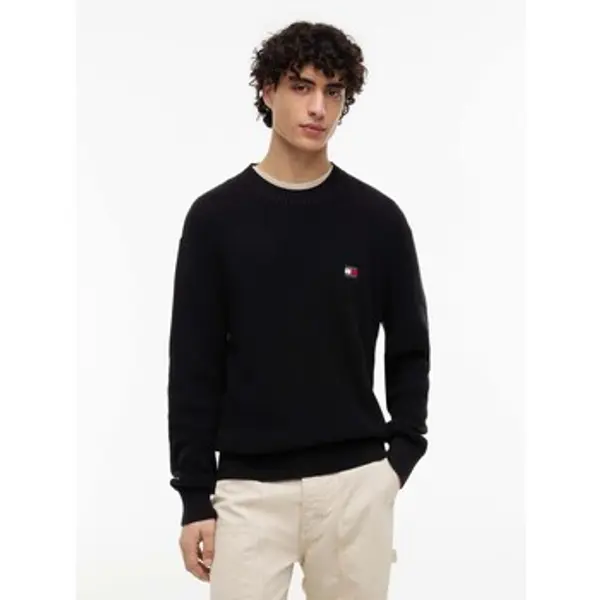 Tommy Jeans Tommy Jeans  Sportske majice Tjm Reg Badge Sweate  Tommy Jeans