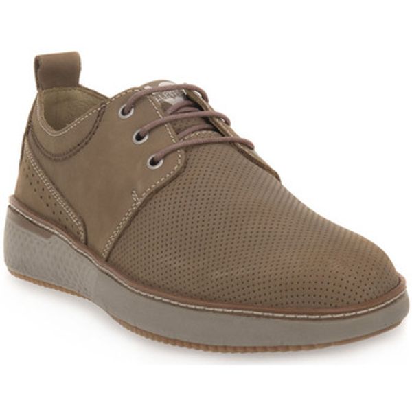 Valleverde Valleverde  Modne tenisice NABOUK TAUPE  Valleverde