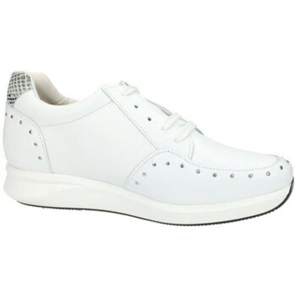 Vida Vida  Oksfordice -  Vida