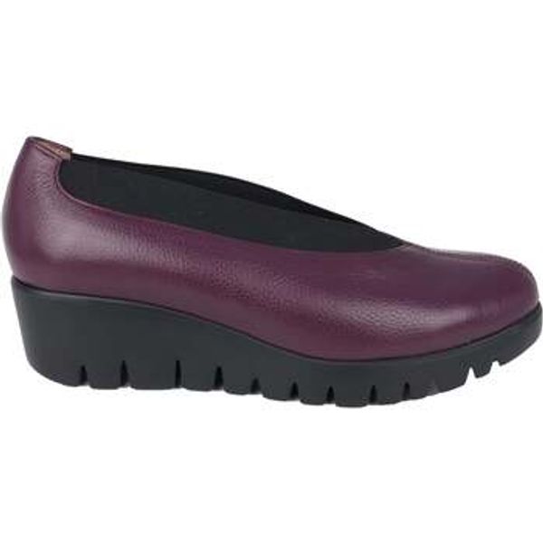 Wonders Wonders  Salonke Agadir  Wonders