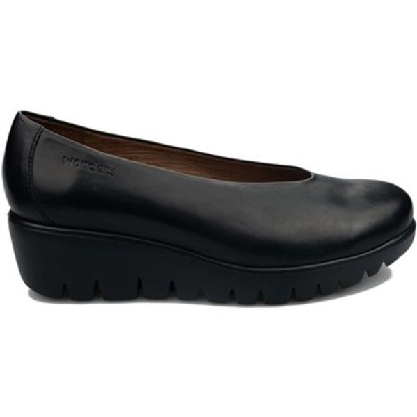 Wonders Wonders  Salonke Fly  Wonders