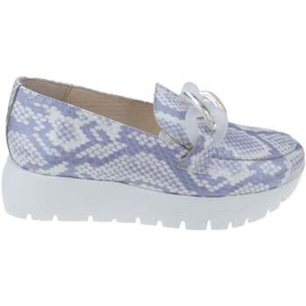 Wonders Wonders  Salonke Rose  Wonders