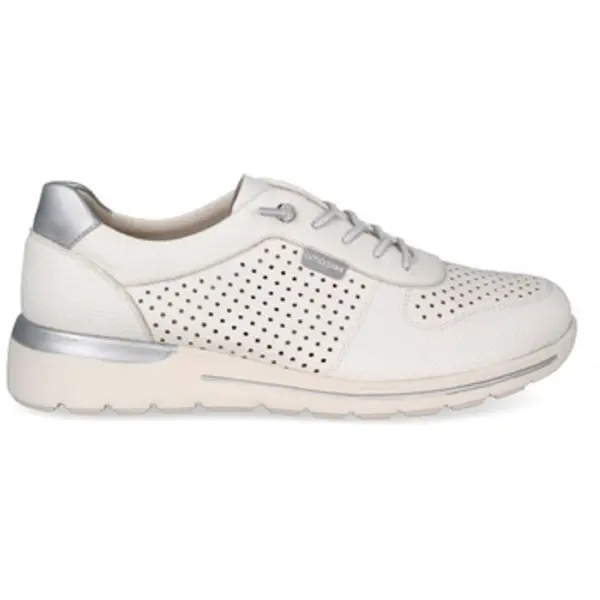 Zapp Zapp  Niske tenisice SNEAKERS  30066  Zapp