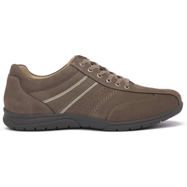 Zen Zen  Modne tenisice MUFLONE VISONE  Zen