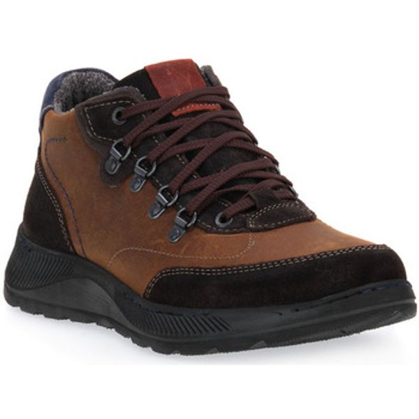 Zen Zen  Multisport CIOCO WHEAT  Zen