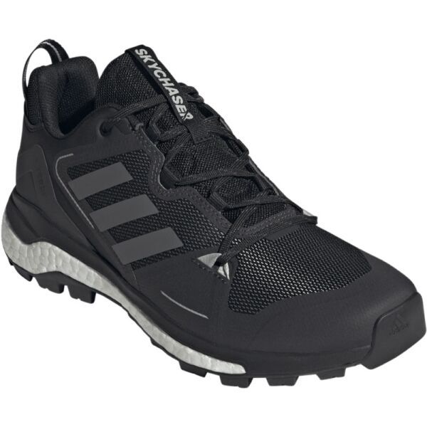 adidas adidas TERREX SKYCHASER 2 Muške trekking tenisice, crna, veličina 46 2/3