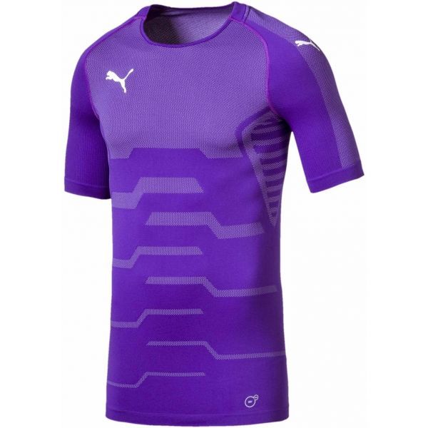 Puma Puma FINAL EVOKNIT GK JERSEY Muška golmanska majica, ljubičasta, veličina
