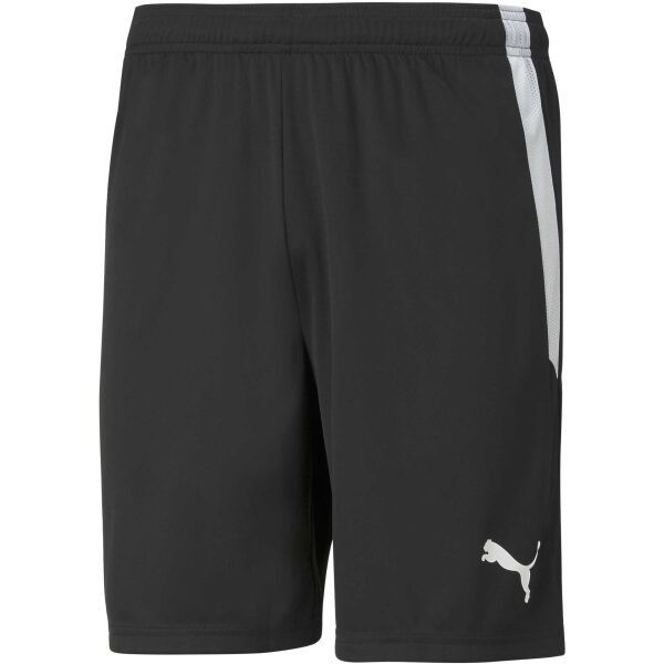 Puma Puma TEAM LIGA SHORTS Muške kratke hlače, crna, veličina