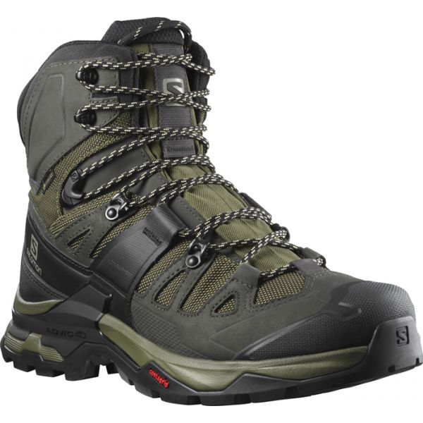 Salomon Salomon QUEST 4 GTX Muška obuća za trekking, khaki, veličina 44 2/3