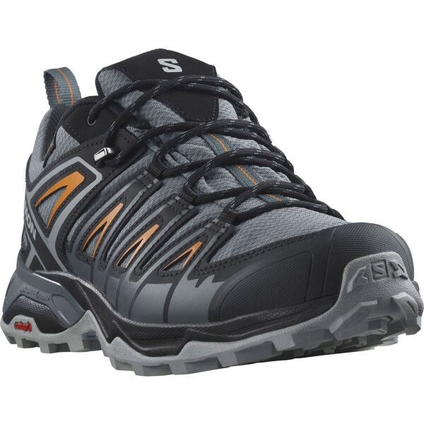 Salomon Salomon X ULTRA PIONEER GTX Muške outdoor tenisice, siva, veličina 45 1/3