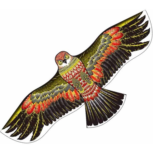 SPORT TEAM SPORT TEAM LET.DRAK 22 Leteći zmaj, crna, veličina