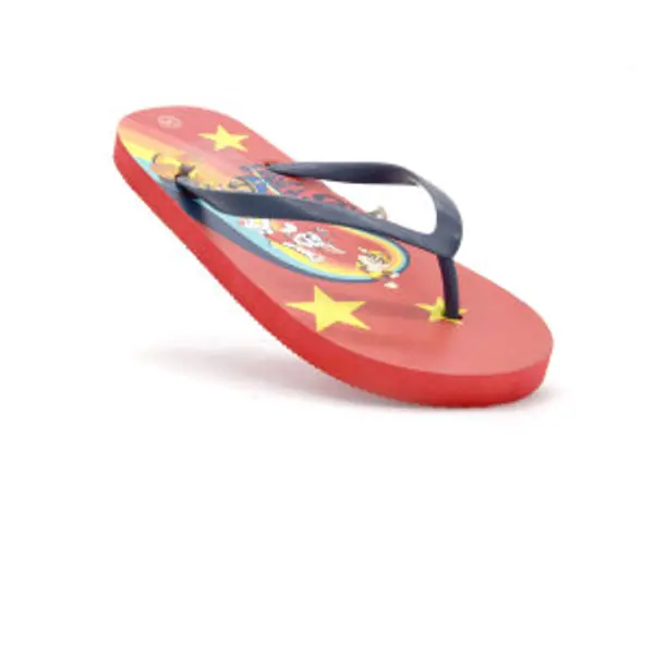 NW JAPANKE PAW PATROL