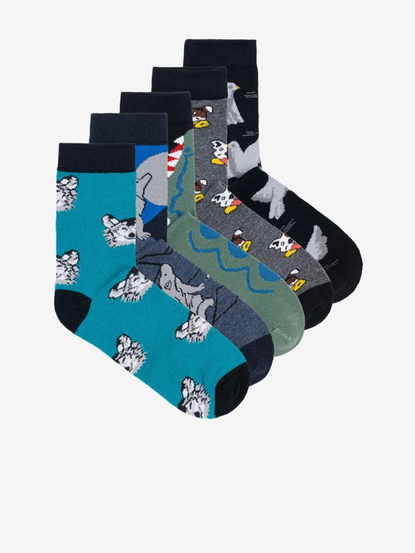 Edoti Edoti 5-pack Čarape plava