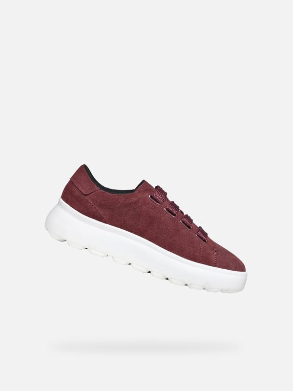 Geox Geox Spherica EC4.1 G-Scam Tenisice smeđa