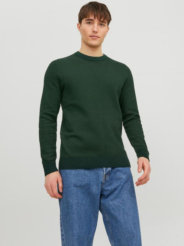 Jack & Jones Jack & Jones Atlas Džemper zelena