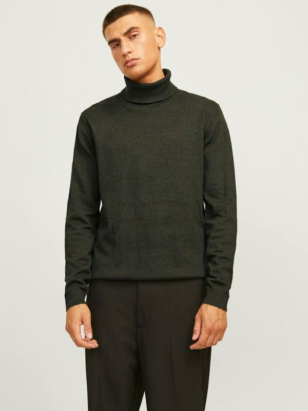 Jack & Jones Jack & Jones Basic Džemper zelena