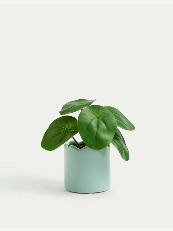 Marks & Spencer Marks & Spencer Pilea Saksija za cvijeće plava