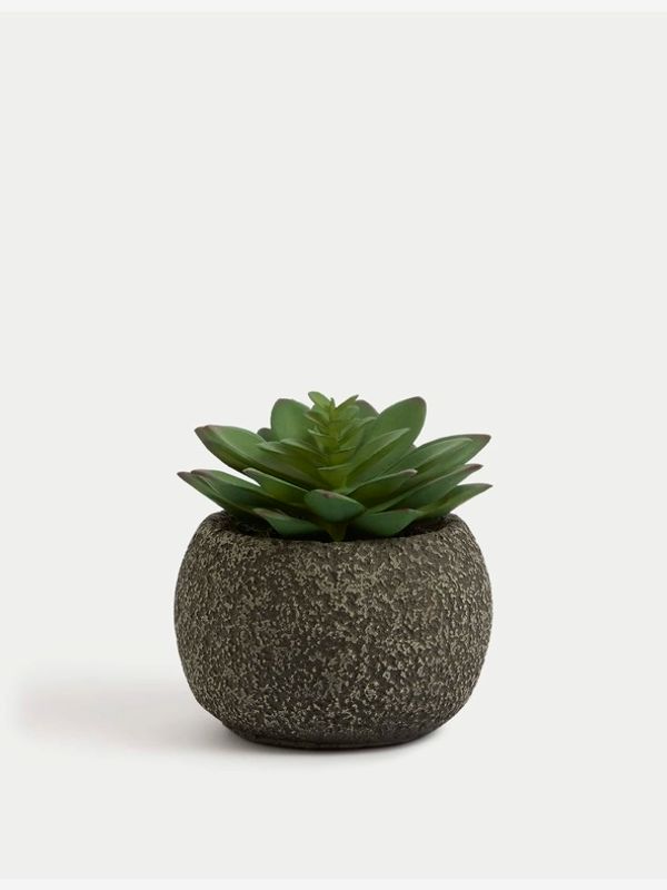 Marks & Spencer Marks & Spencer Saksija za cvijeće zelena