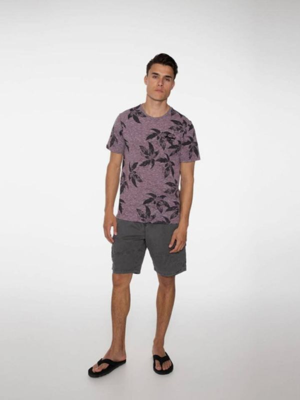 Protest Protest PACKWOOD Kratke hlače siva