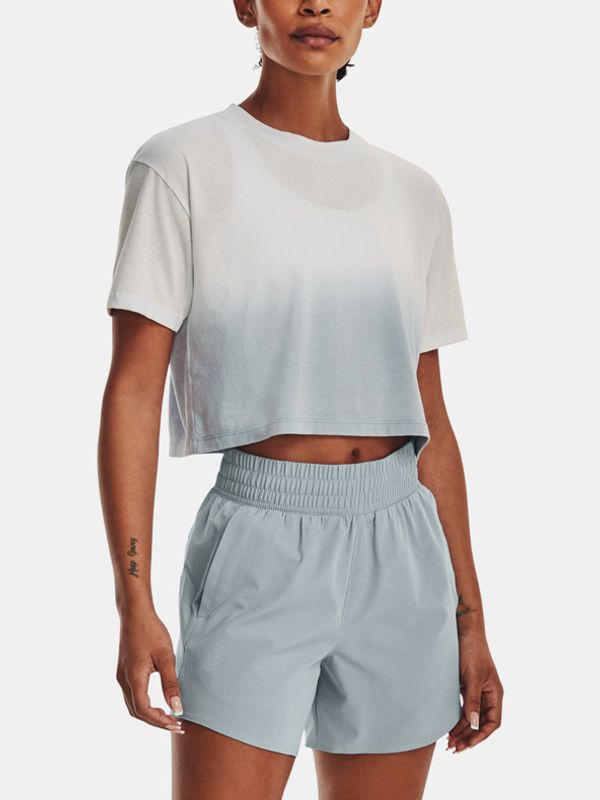 Under Armour Under Armour Majica siva